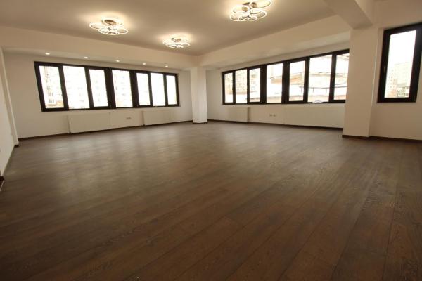 Stefan cel Mare-Spitalul Colentina-vila D+P+2E+M-296 mp-totul nou!!