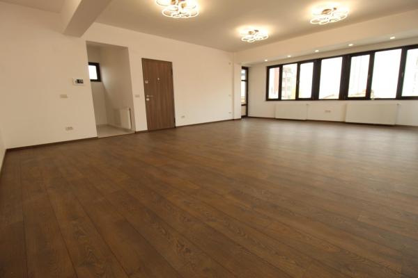Vila individuala-prima inchiriere-Stefan cel Mare-350 mp, totul nou!!!