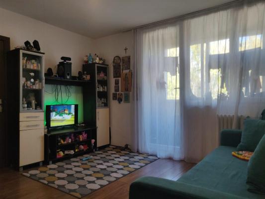 2 camere-Ion Mihalache