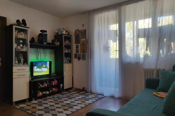 2 camere-Ion Mihalache