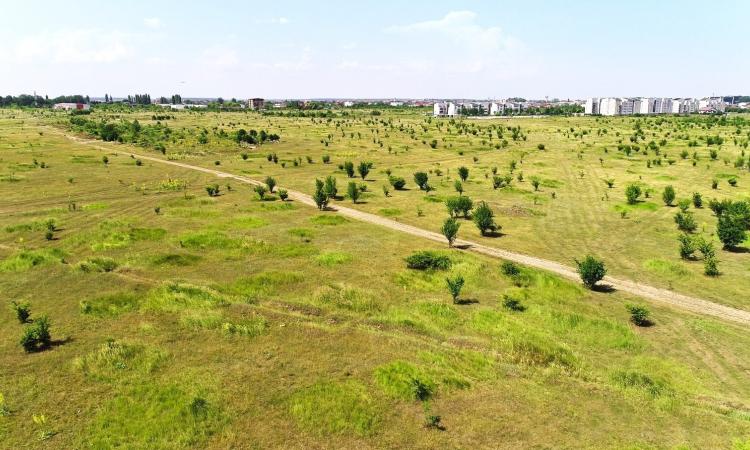 Baneasa - Piscul Corbului, teren intravilan, ideal investitie.