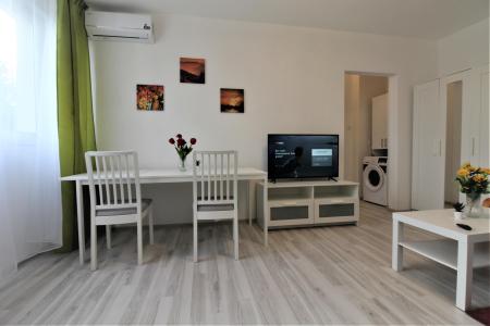 2 camere-49 mp-renovat-1 Mai