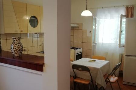 2 camere in vila interbelica-66 mp-centrala proprie-Domenii