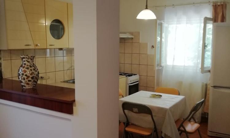 2 camere in vila interbelica-66 mp-centrala proprie-Domenii
