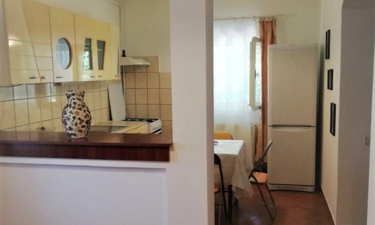 2 camere in vila interbelica-66 mp-centrala proprie-Domenii