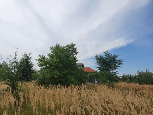 Izvorani - Snagov - Complex COR - zona vile noi