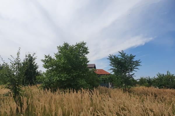 Izvorani - Snagov - Complex COR - zona vile noi