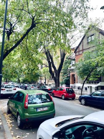 2 Camere - Dorobanti - Capitale - Vila