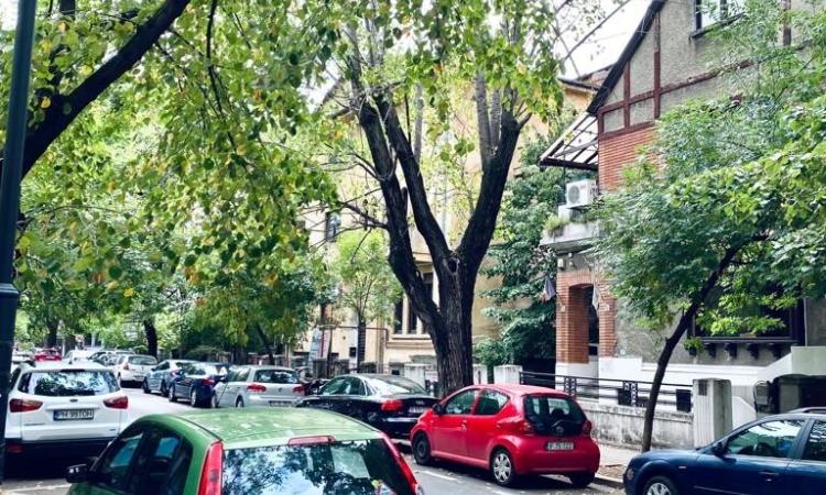2 Camere - Dorobanti - Capitale - Vila