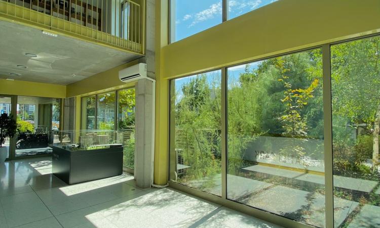 3 Camere - Aviatiei Park - Premium - Aviatiei