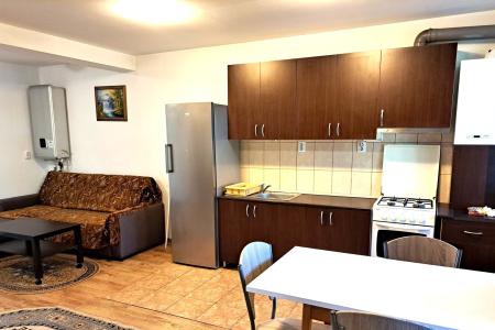 Bucurestii Noi - Strada Darza, apartament 2 camere in vila, semidecomandat,