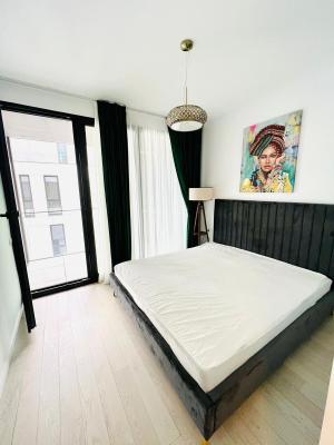 2 Camere - WIN Herastrau - Cartierul Francez