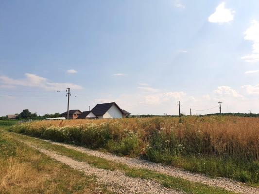Izvorani, lacul Snagov, in apropiere de padure 2000mp