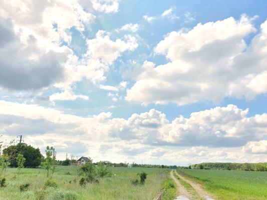 Izvorani, lacul Snagov, in apropiere de padure 2000mp