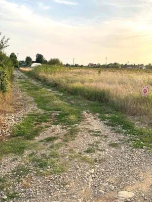 Izvorani, lacul Snagov, in apropiere de padure 2000mp