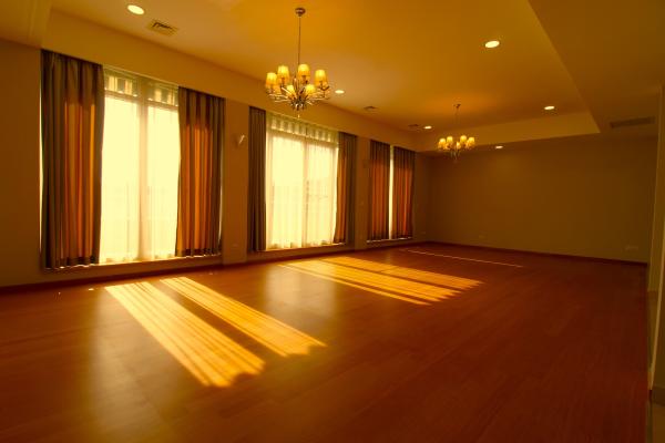 Penthouse 205 mp - terasa- 75 mp- Herastrau