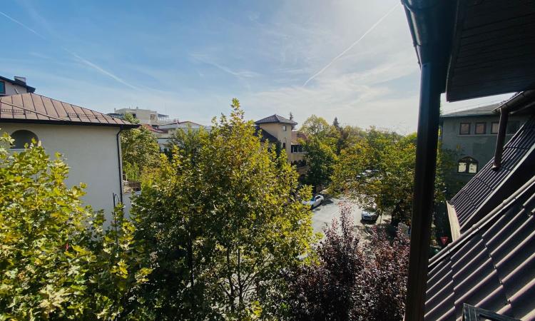 2 Camere - Mansarda - Primaverii - Lux