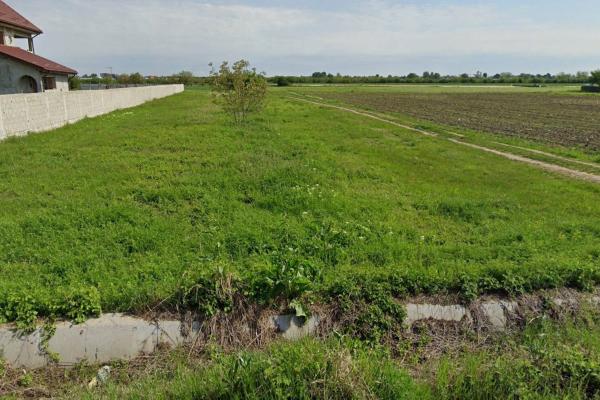 Cornetu - Strada Scolii, teren intravilan, suprafata 2.232 mp