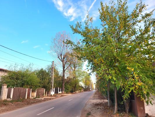 Izvorani Snagov deschidere la asfalt, toate utilitatile