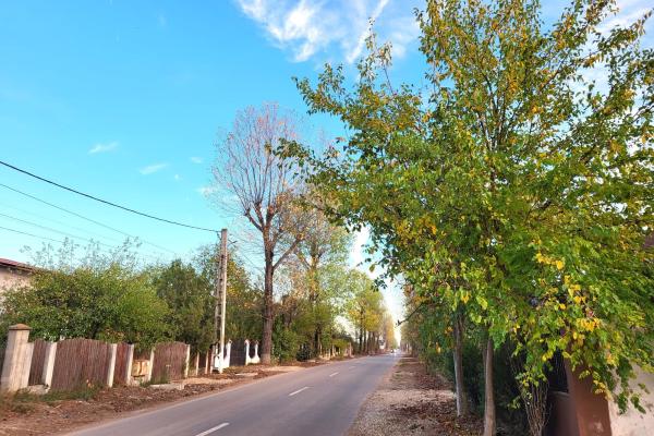 Izvorani Snagov deschidere la asfalt, toate utilitatile