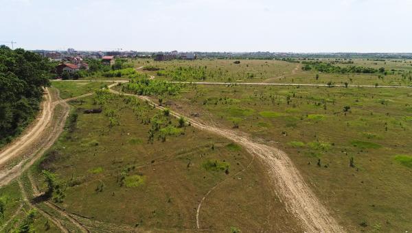 Baneasa - Drumul Stegarului, teren intravilan, suprafata 16.600 mp