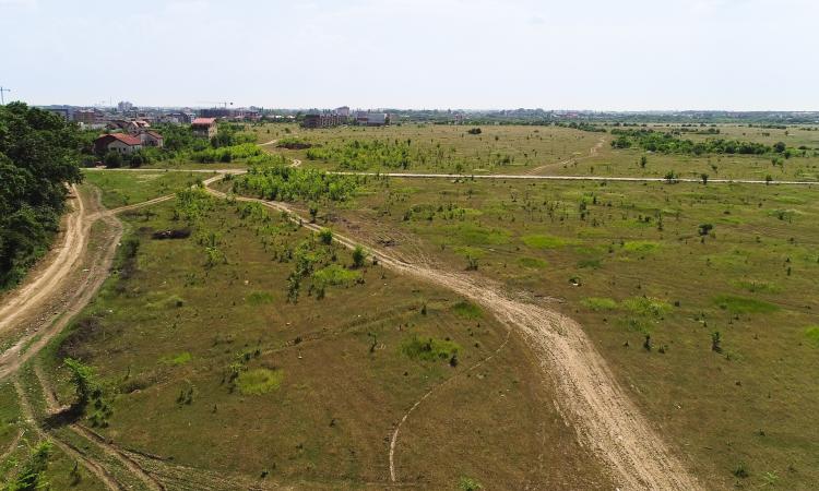 Baneasa - Drumul Stegarului, teren intravilan, suprafata 16.600 mp