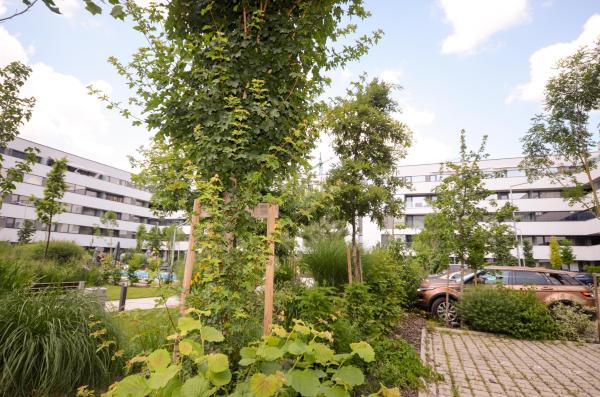 Bucurestii Noi - Atria Urban Resort - 2cam 59mpu - finalizat