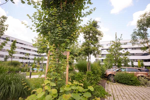 Bucurestii Noi - Atria Urban Resort - 2cam 59mpu - finalizat