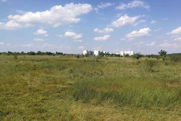 Baneasa - Piscul Reghiului, teren intravilan, suprafata 727 mp