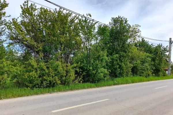 Izvorani, 2500mp deschidere la asfalt, cu toate utilitatile