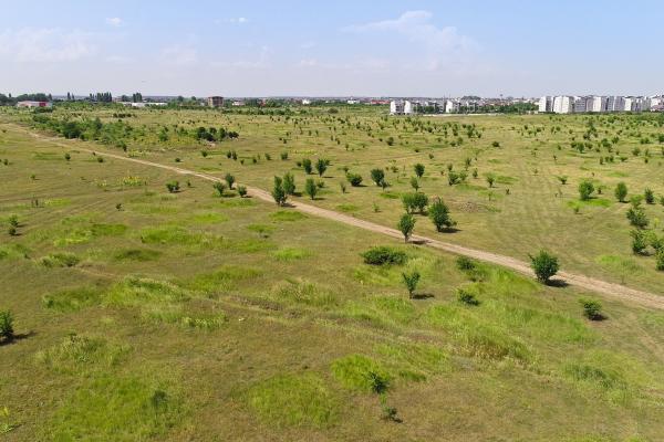 Teren intravilan de vanzare – Baneasa, Piscul Corbului