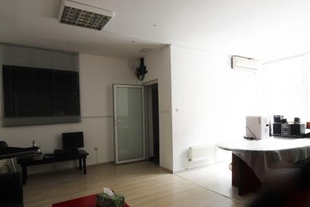 Vila-Rond George Cosbuc-Casa Poporului, curte generoasa