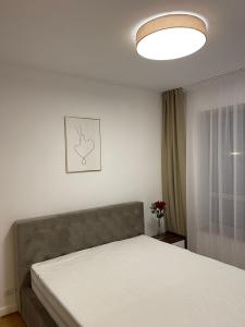 Luxuria - Domenii - Herastrau - Expozitiei
