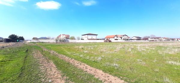 Corbeanca - Tamas, teren intravilan 19.325 mp