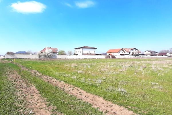 Corbeanca - Tamas, teren intravilan 19.325 mp