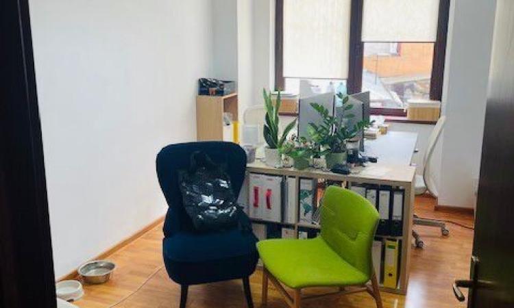 Birouri - 3 Camere - Dorobanti - Capitale - Petrom