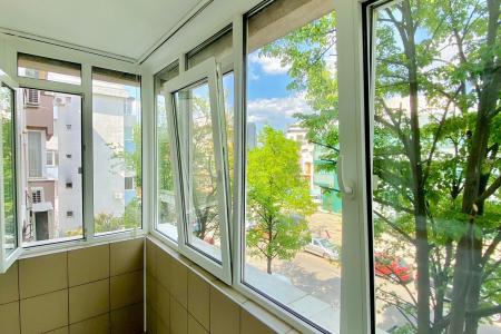 2 Camere - Aviatiei - Aurel Vlaicu - Promenada