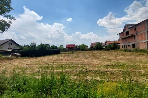 Teren 1.000 mp lângă pădure – Balotești, Str. Fieni | P+2 | Deschidere 21 ml