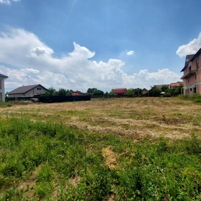 Teren 1.000 mp lângă pădure – Balotești, Str. Fieni | P+2 | Deschidere 21 ml