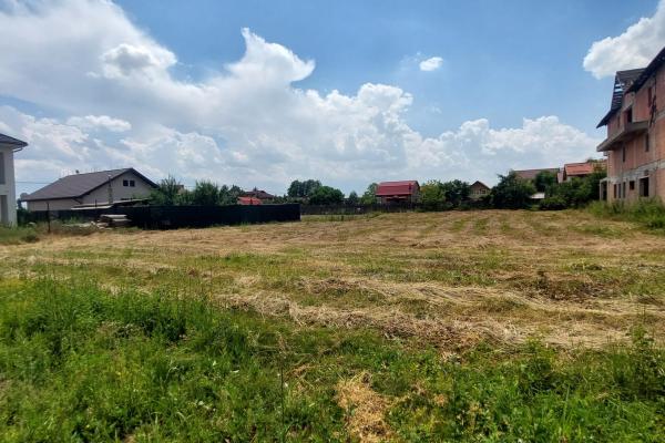 Teren 1.000 mp lângă pădure – Balotești, Str. Fieni | P+2 | Deschidere 21 ml