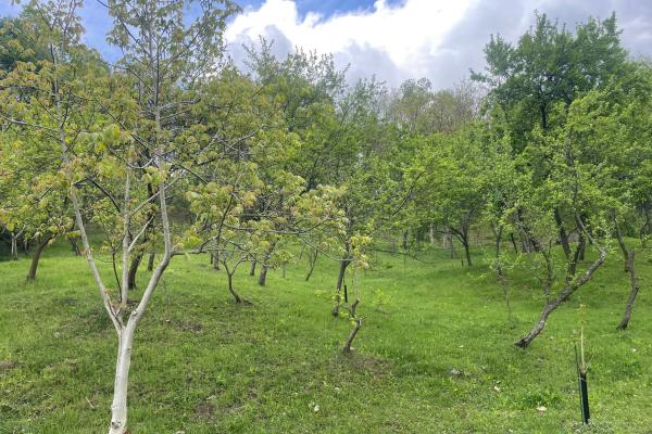 Mihaesti - Sat Draghici, teren intravilan, cu o suprafață generoasă de 7.280 mp