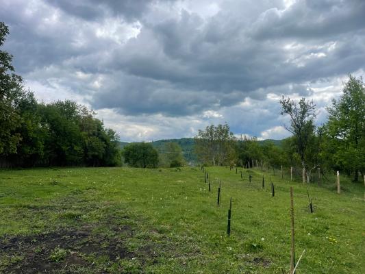 Mihaesti - Sat Draghici, teren intravilan, cu o suprafață generoasă de 7.280 mp