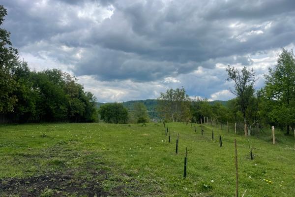 Mihaesti - Sat Draghici, teren intravilan, cu o suprafață generoasă de 7.280 mp