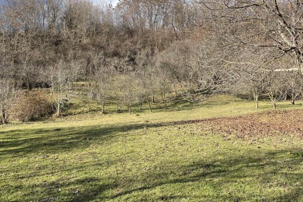 Mihaesti - Sat Draghici, teren intravilan, cu o suprafață generoasă de 7.280 mp