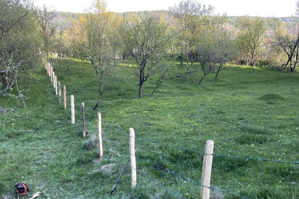 Mihaesti - Sat Draghici, teren intravilan, cu o suprafață generoasă de 7.280 mp