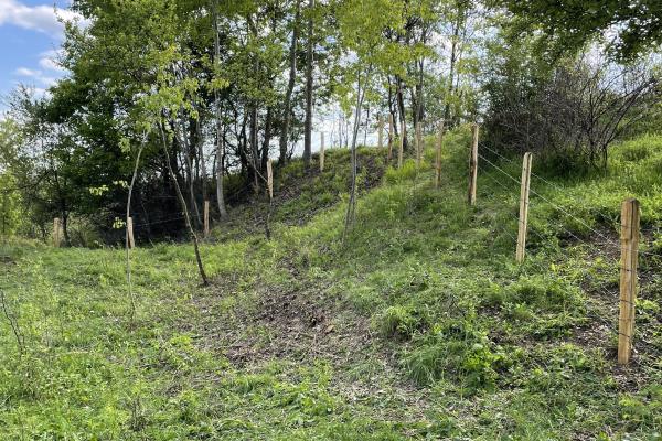 Mihaesti - Sat Draghici, teren intravilan, cu o suprafață generoasă de 7.280 mp