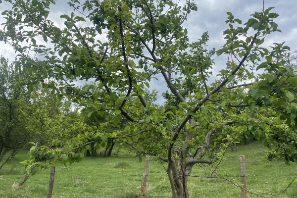 Mihaesti - Sat Draghici, teren intravilan, cu o suprafață generoasă de 7.280 mp