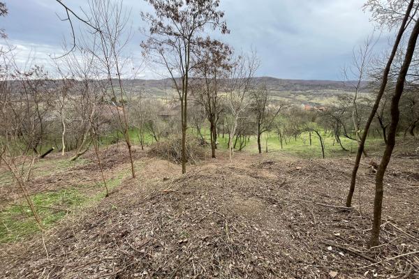 Mihaesti - Sat Draghici, teren intravilan, cu o suprafață generoasă de 7.280 mp