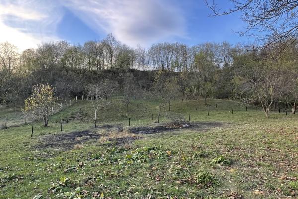 Mihaesti - Sat Draghici, teren intravilan, cu o suprafață generoasă de 7.280 mp
