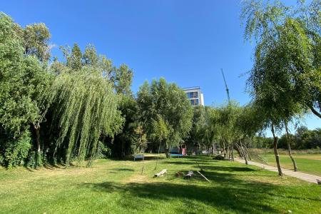 Sisesti Bloc Nou - Lac - Metrou Straulesti
